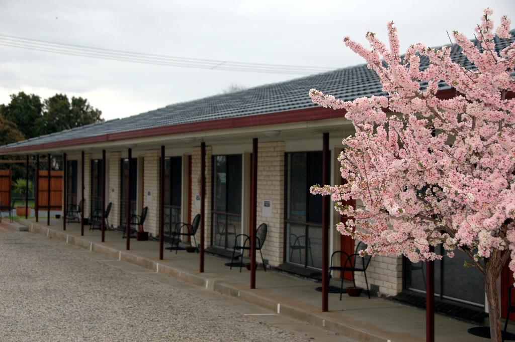 Motel Woongarra Rutherglen Kültér fotó