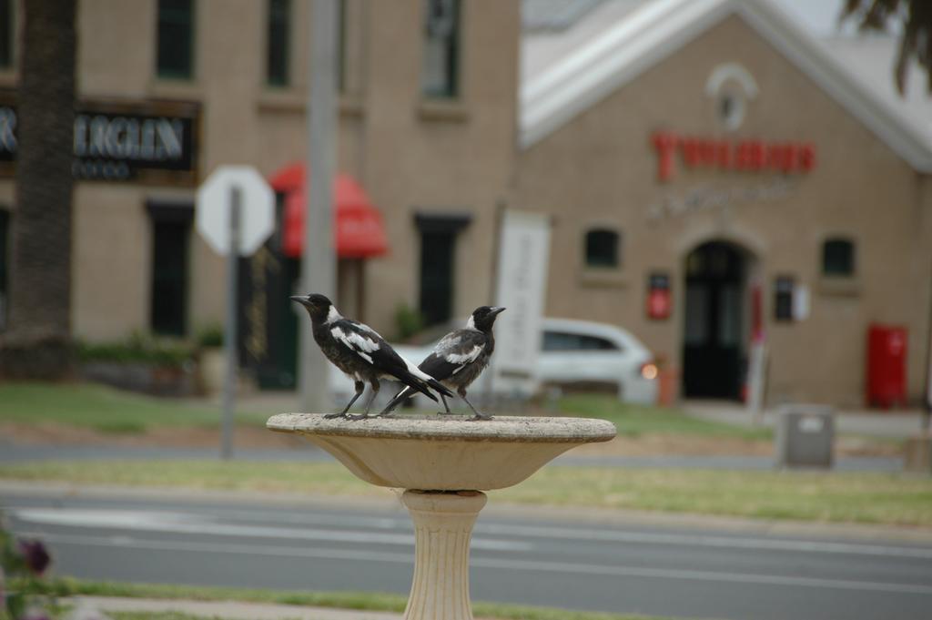 Motel Woongarra Rutherglen Kültér fotó