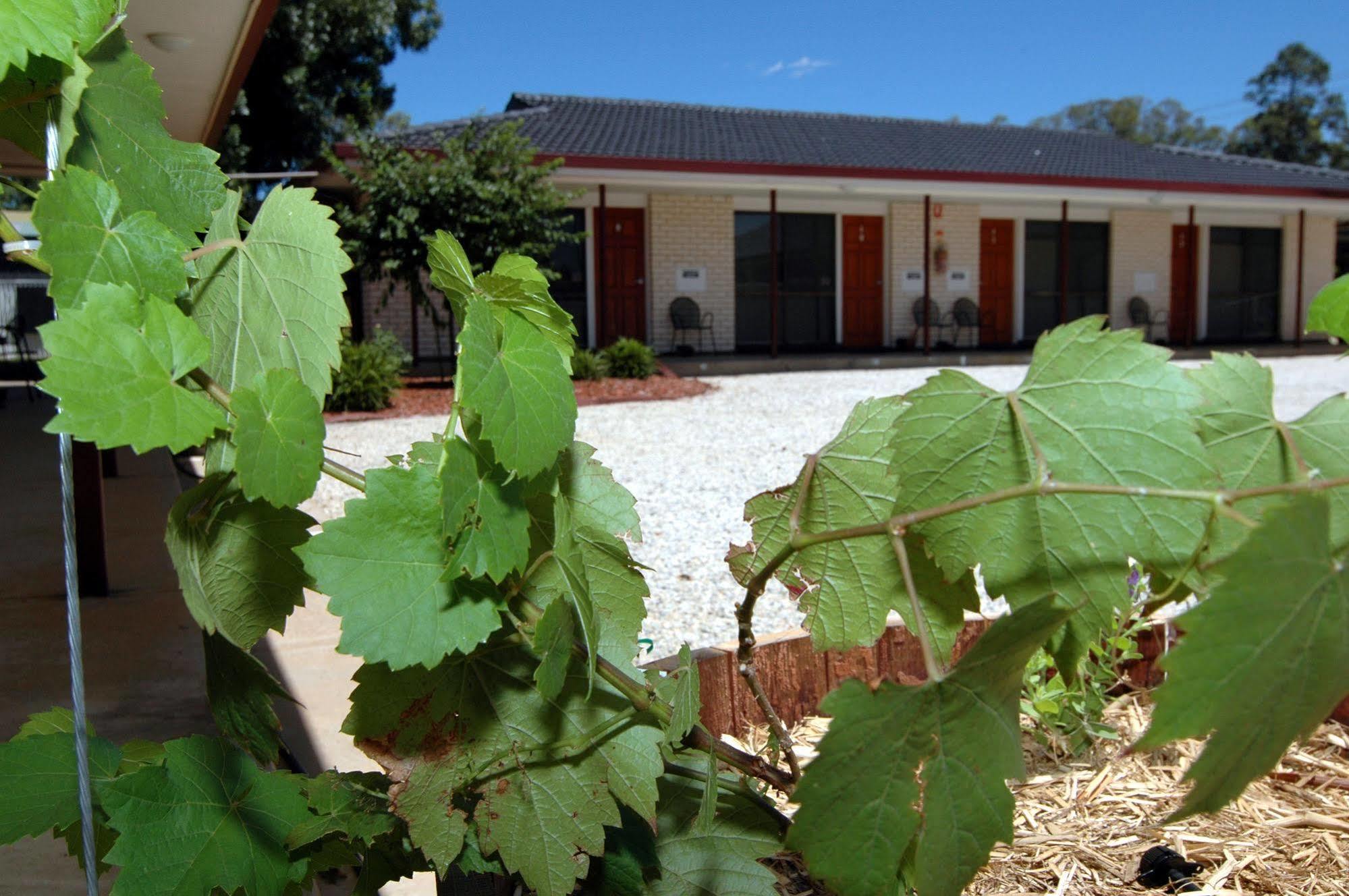 Motel Woongarra Rutherglen Kültér fotó